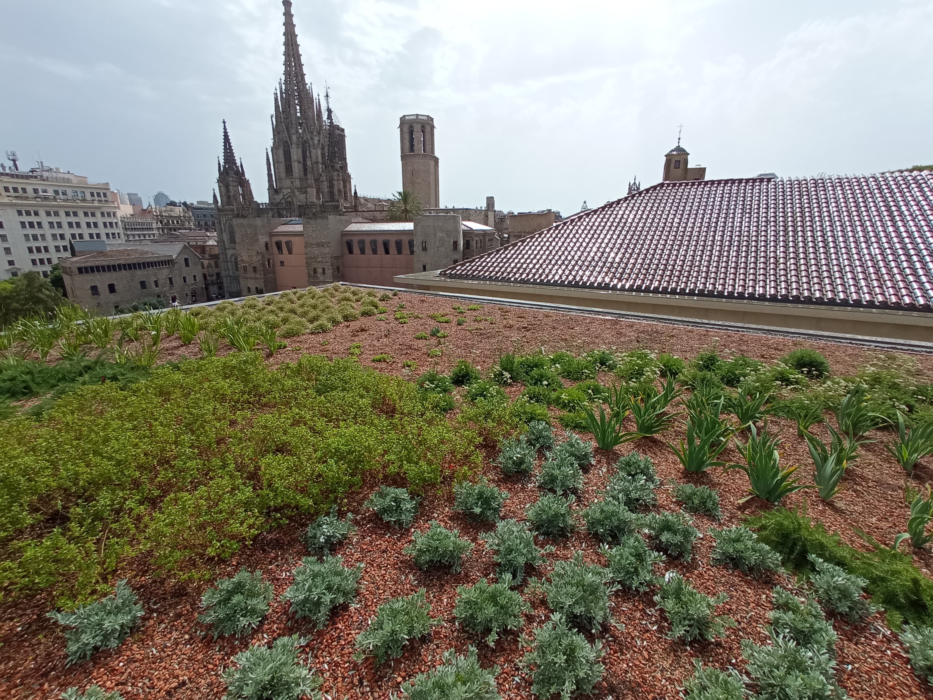 Congress benefits and collaboration