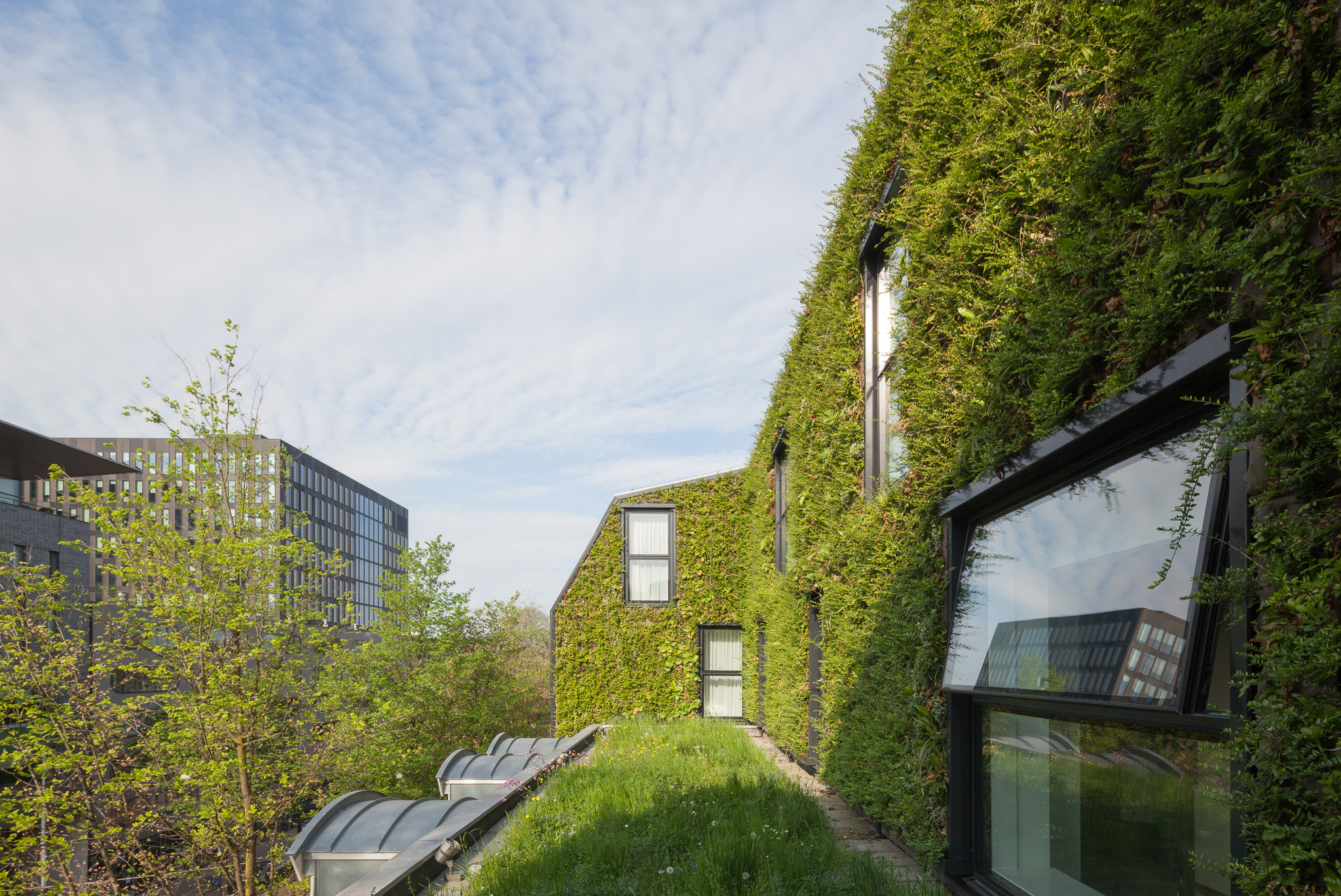 Green roof and living wall by Sempergreen