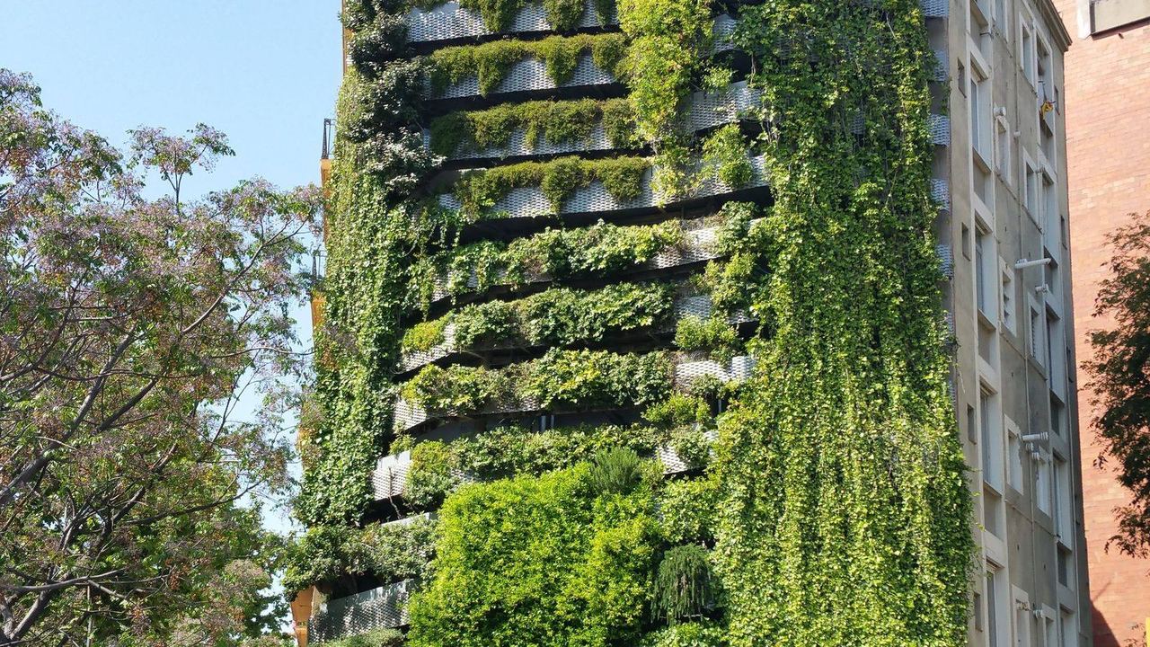 Green Infrastructure and Nature-based Solutions: Advancing Equitable Global Partnerships