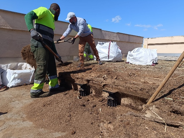 Workshop 2: Best Practices and Maintenance for Green Infrastructure