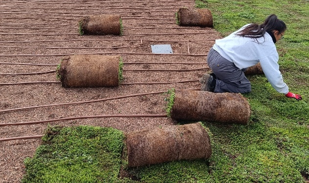Workshop 2: Best Practices and Maintenance for Green Infrastructure