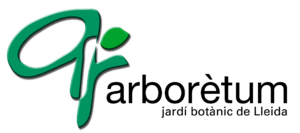 Arboretum