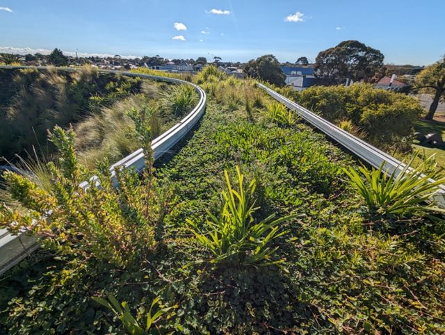 Green Roofs
