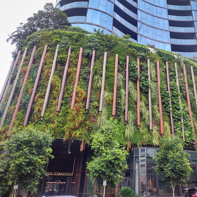 Green Walls