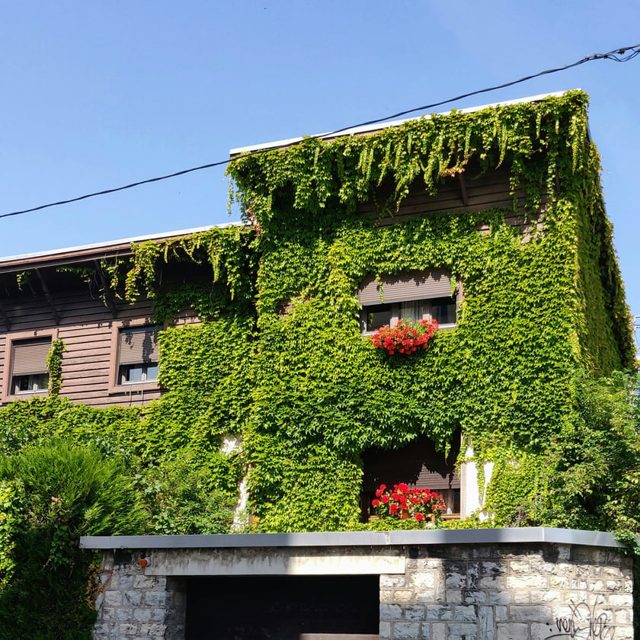 Unintended Greenery